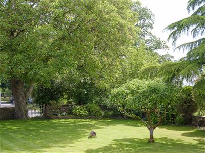 Picture 29